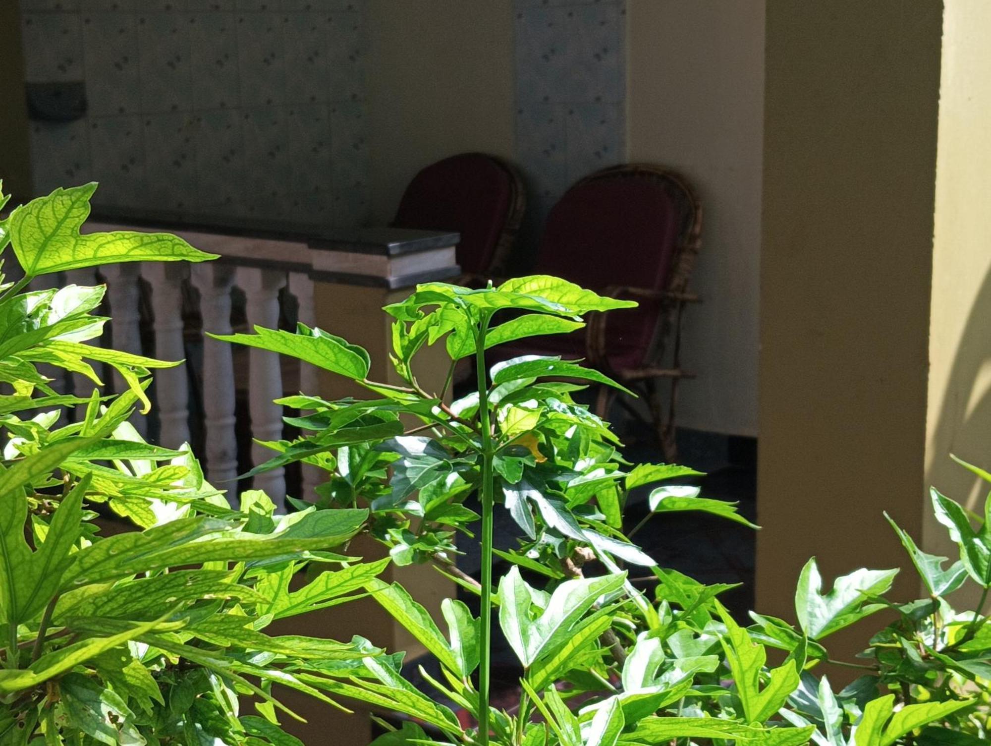 Monsoon Hotel Agonda Cameră foto